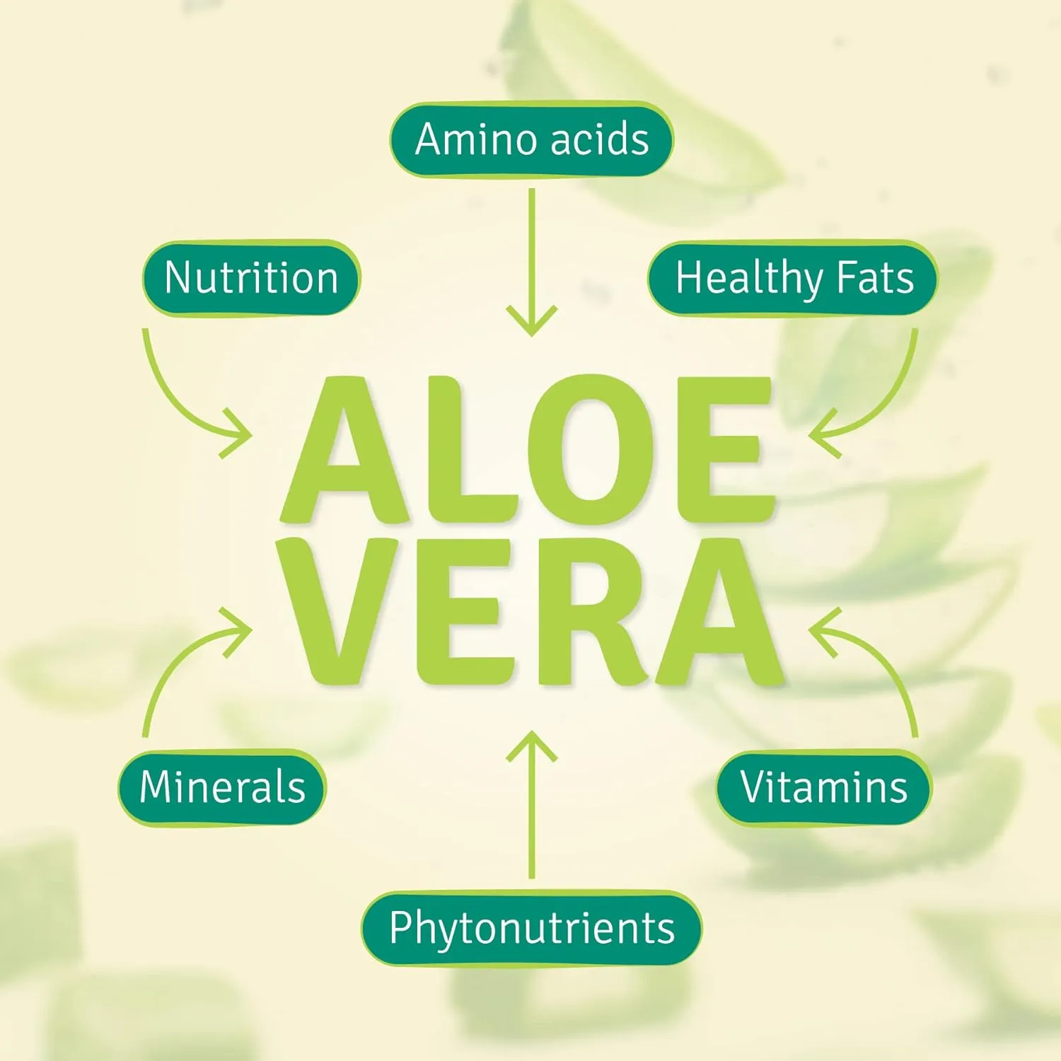 Aloe Life - Whole Leaf Aloe Vera Juic, Certified Organic, Gluten-Free (Orange Papaya, 16 oz)