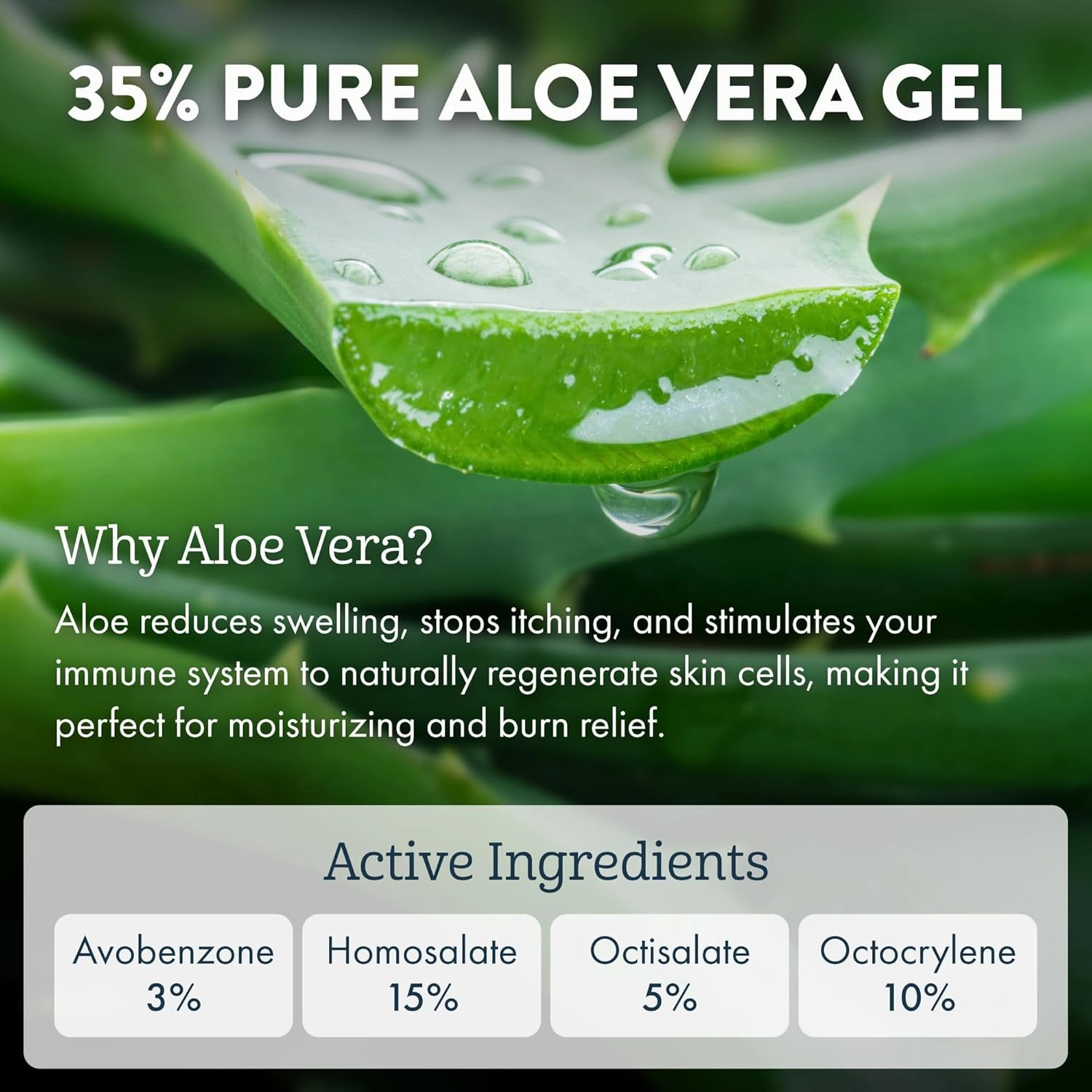 Aloe Up SPF 50 Sunscreen for Sensitive Skin - Broad Spectrum Face and Body Sunblock with Aloe Vera - Reef-Safe, Hydrating Coco-Mango Fragrance, 4 Oz