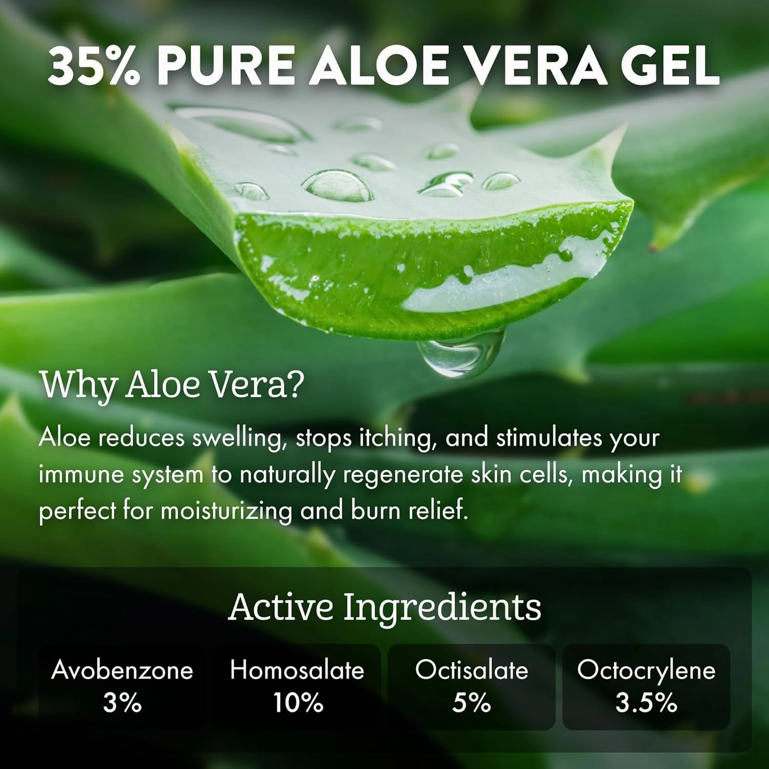Aloe Up Sport Sunscreen Lotion SPF 30 - Broad Spectrum UVA/UVB Sunscreen Protector for Face and Body - With Hydrating Aloe Vera Gel - Non-Greasy No White Cast Reef Safe Fragrance-Free - 6 Oz.