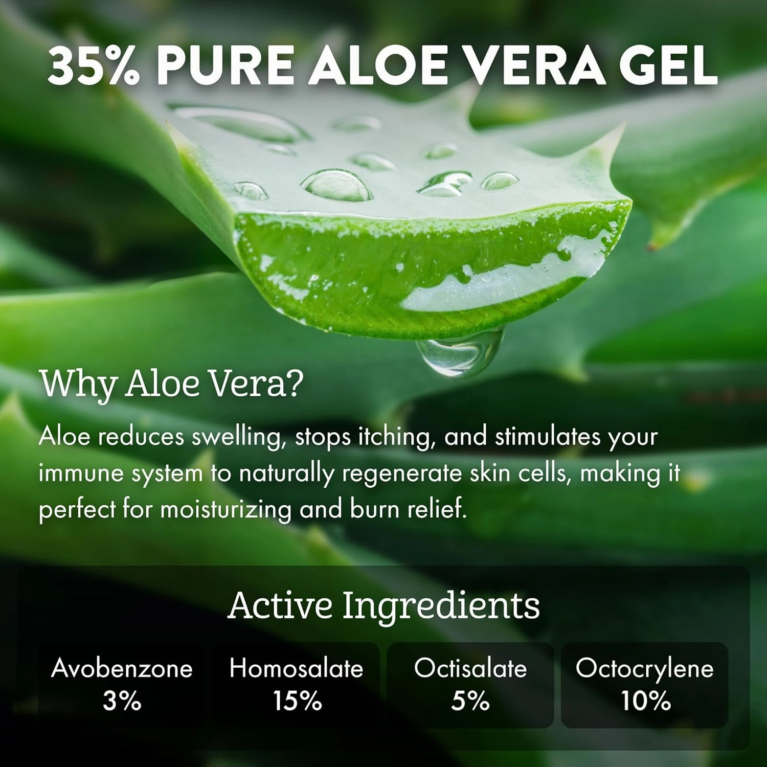 Aloe Up Sport Sunscreen Lotion SPF 50 - Broad Spectrum UVA/UVB Sunscreen Protector for Face and Body With Hydrating Aloe Vera Gel Non-Greasy No White Cast Reef Safe Fragrance Free - 6 Oz- 2 pack