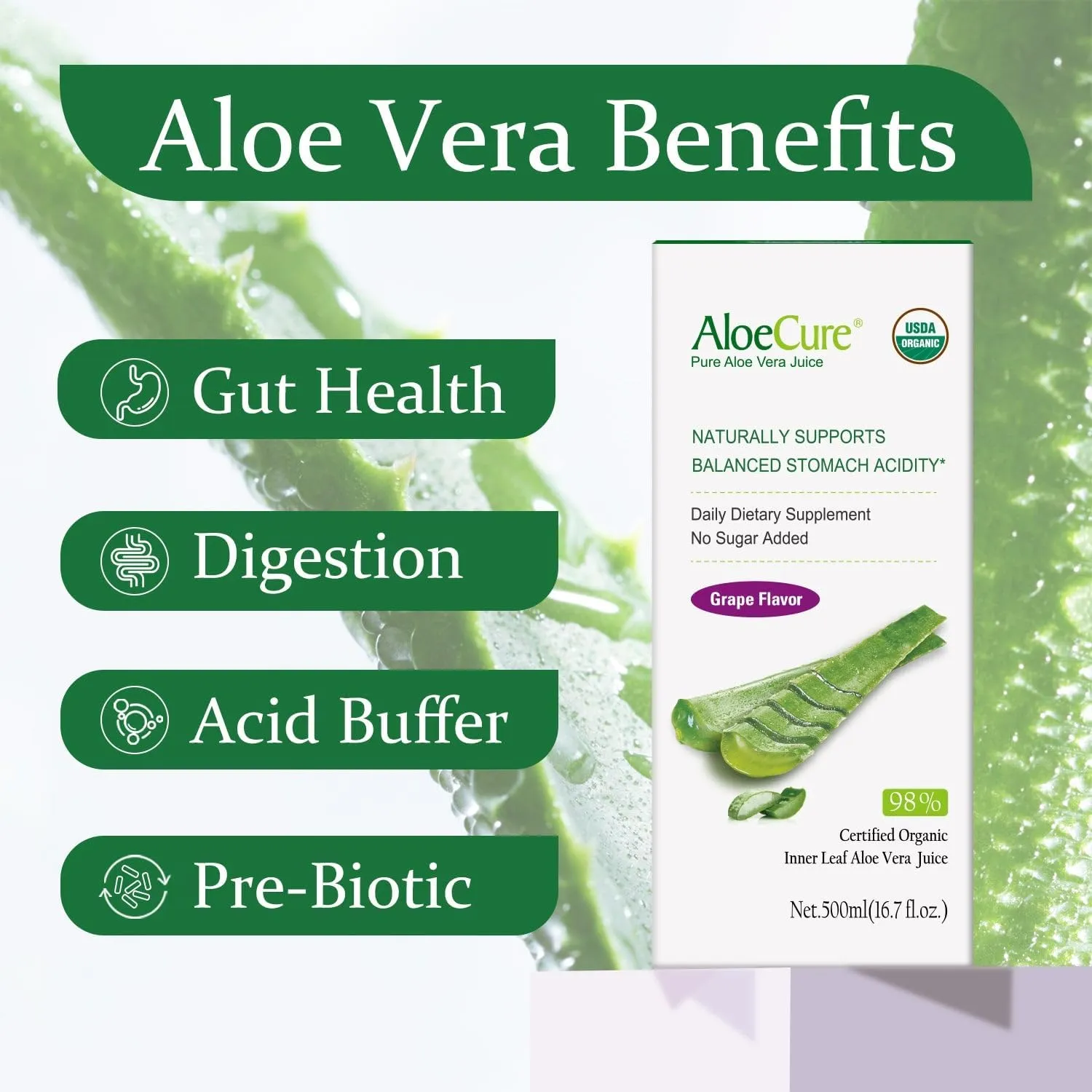 AloeCure USDA Organic Aloe Vera Juice Grape Flavor, Made Within 12 Hours of Harvest - Pure Aloe Vera Digestive & Immune Health Supplement, Helps Maintain Balanced Stomach Acidity, 16.7oz x 2 Btls