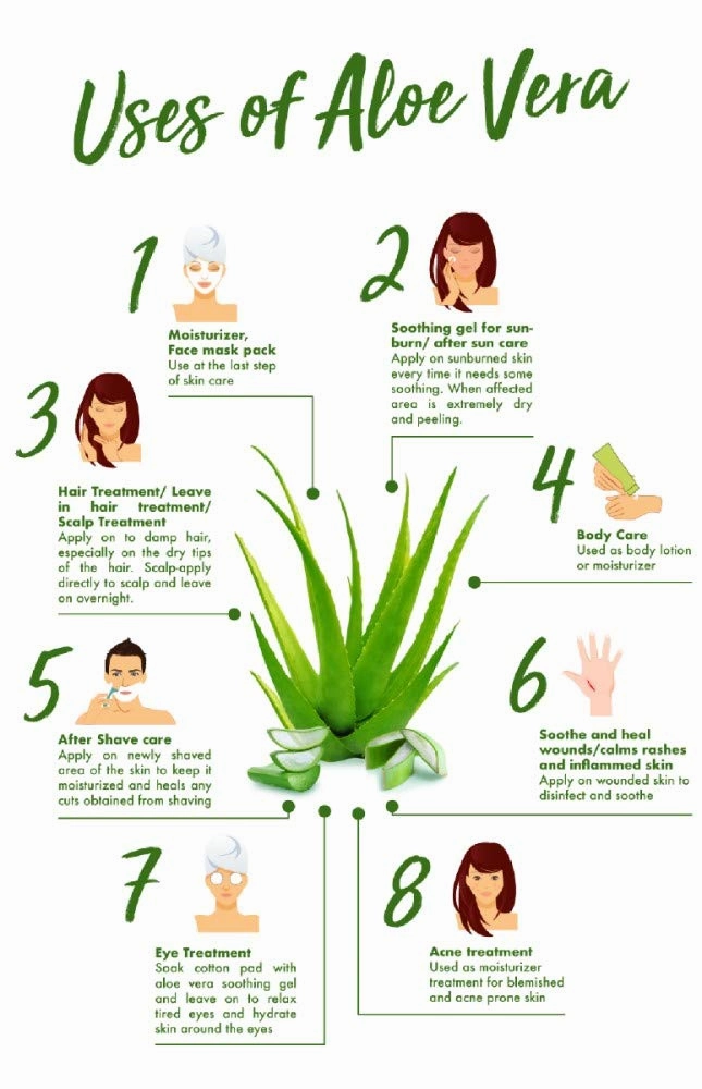 bodi : Aloe Vera Gel - 100% Pure Natural Chemical Free - Used Internal & External (8 16 32 oz) (8 oz)