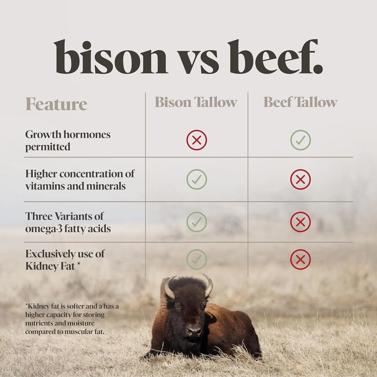 BUFF BAR Pure Bison Tallow Balm, Apple Moonshine - Scents of Apple, Cinnamon, & Orange - All Purpose, Body Butter, Hydrating, Naturally Derived, Replaces Lotion - For Dry, Itchy Skin