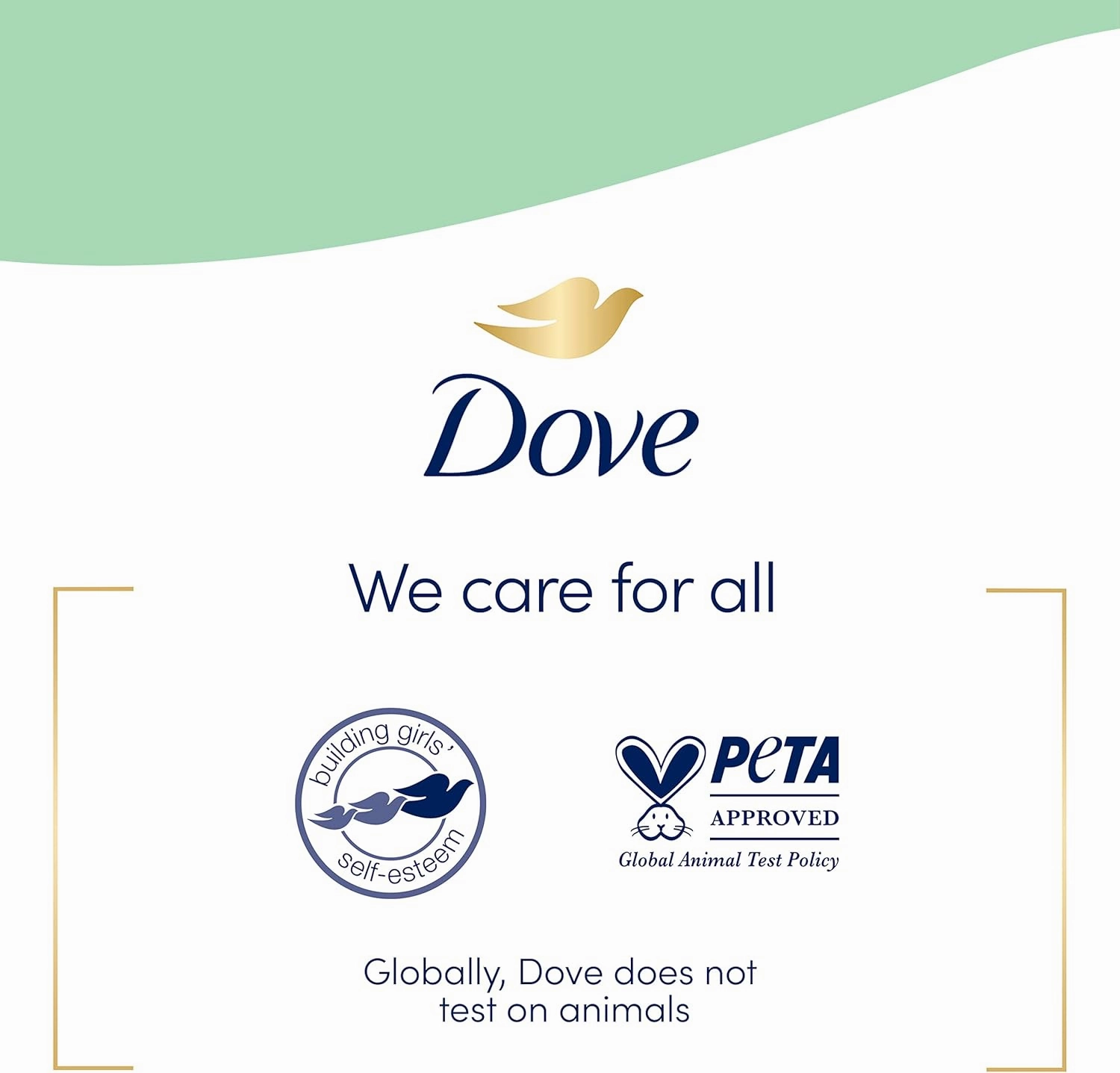 Dove Nourishing Foaming Hand Wash Touchless Dispenser Refill Aloe and Eucalyptus Moisturizing Hand Wash for Lasting Nourishment 10.1 oz 6-pack