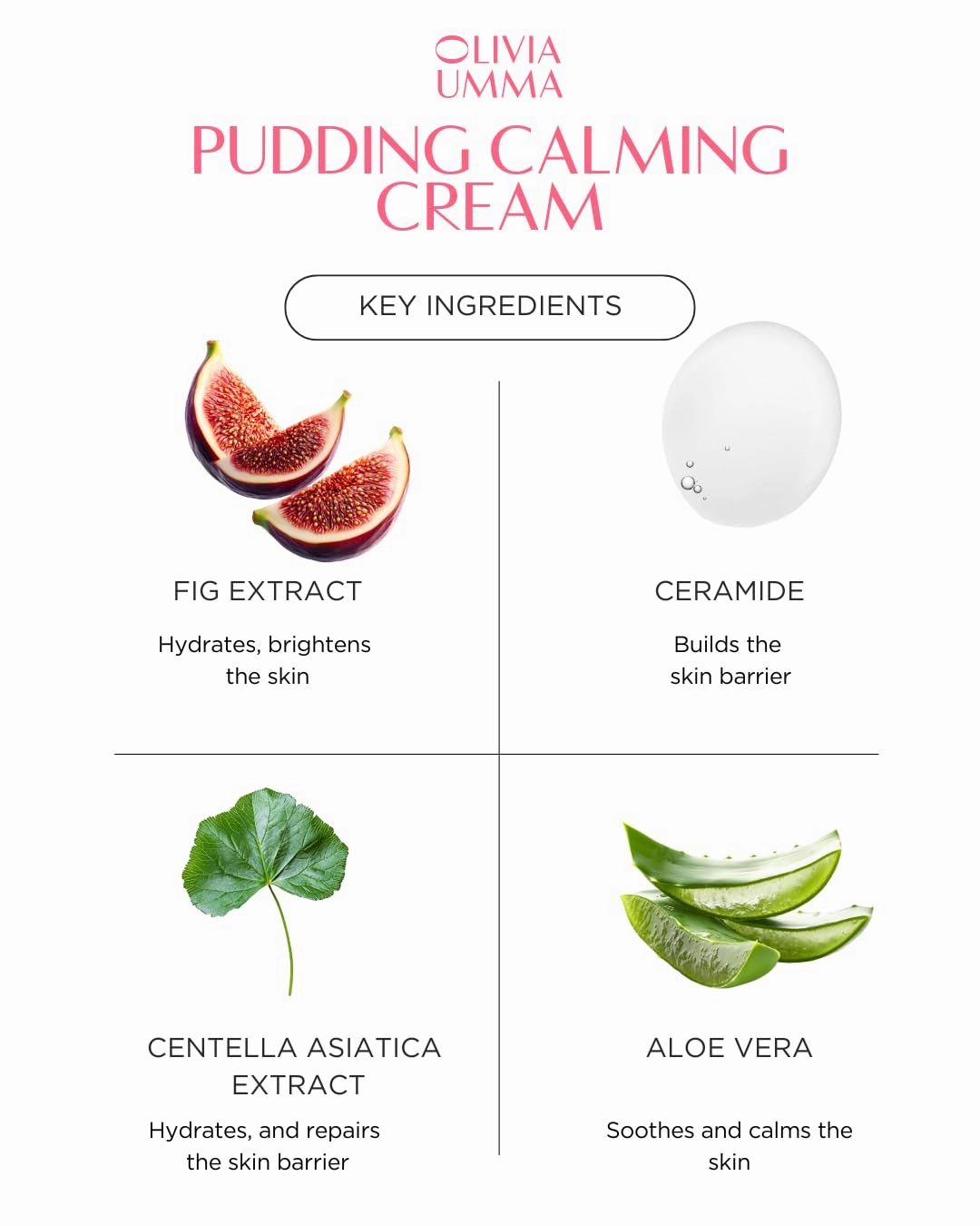 Glass Skin Tanghulu Fig Pudding Calming Cream - Korean Skin Care Moisturizer Face Cream for Skin Barrier Repair & Hydration - Soothing korean moisturizer with Aloe Vera   Ceramide - 50g