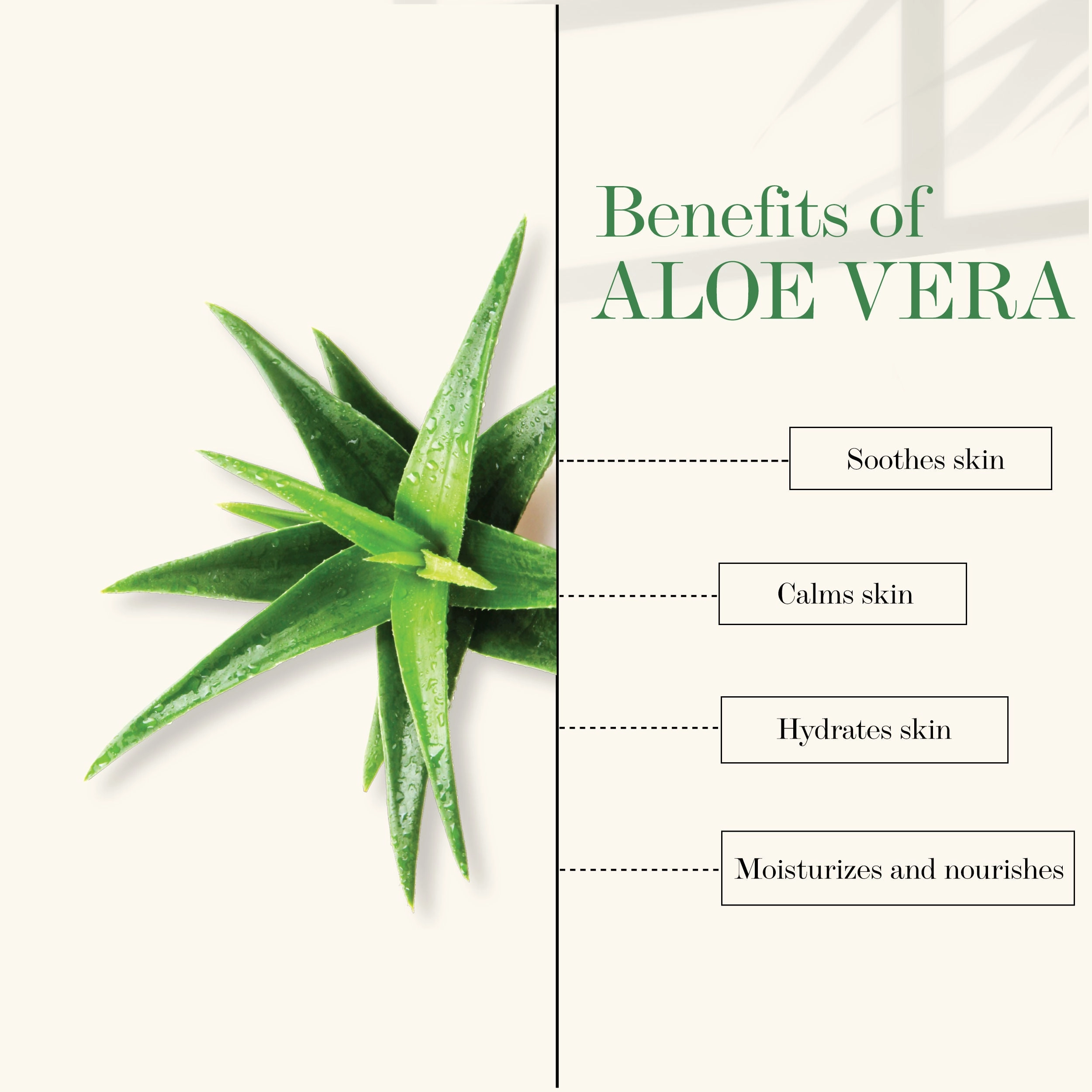 Good Vibes Aloe Vera Hydrating Face Wash | Hydrating, Cleansing | No Parabens, No Mineral Oil, No Animal Testing (120 ml)
