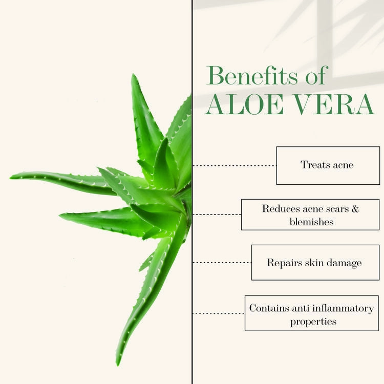 Good Vibes Aloe Vera Nourishing Multipurpose Gel |Anti-Acne, Ageing | With Neem | No Parabens, No Sulphates, No Mineral Oil, No Animal Testing (100 g)