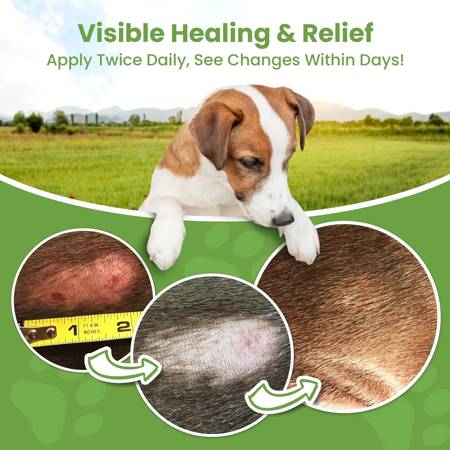 Hot Spot Treatment for Dogs, Cats & Pet Wound Care: Healing Ointment for Pets Itchy Skin Relief, Dry Skin Treatment, Natural Allergy Relief, Dog Paw Balm   Manuka Honey, Aloe Vera, Vitamin E (2 Oz.)