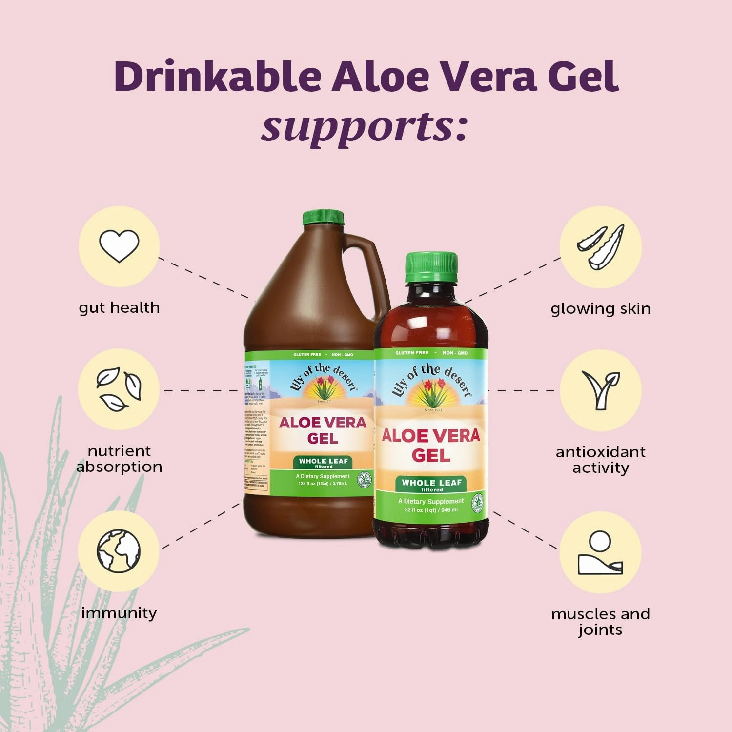 Lily Of The Desert Aloe Vera Gel, Preservative Free - Whole Leaf Filtered Thicker Consistency Aloe Vera Drink with Natural Vitamins, Digestive Enzymes for Gut Health, Wellness, Glowing Skin, 32 Fl Oz