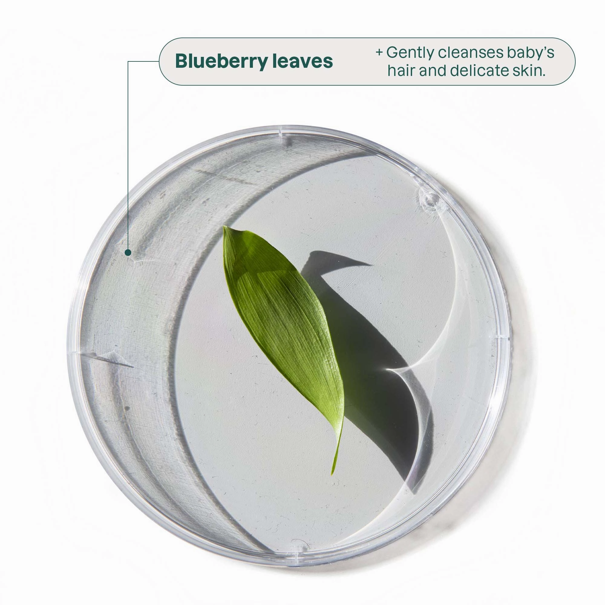Mama's Love Kit : BABY LEAVES™ & BLOOMING BELLY™