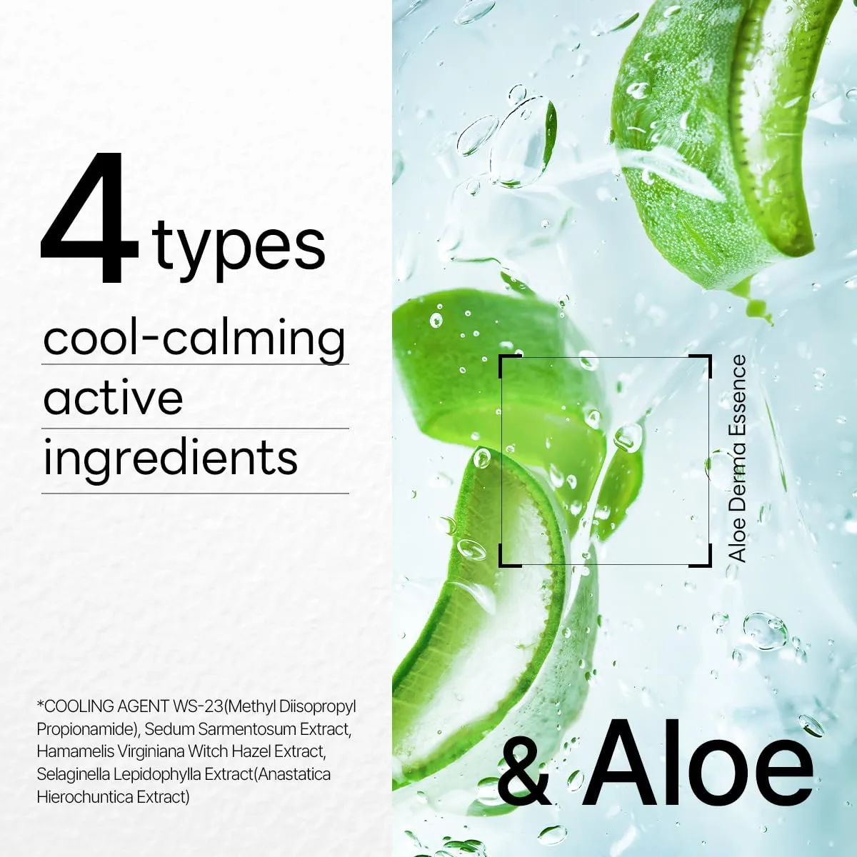 Mediheal Dermaplus Aloe Mask (10 Counts) - Daily Vegan Mask for Hydrating Skin with Panthenol & Hyaluron, Korean Self Skin Care Sheet Mask