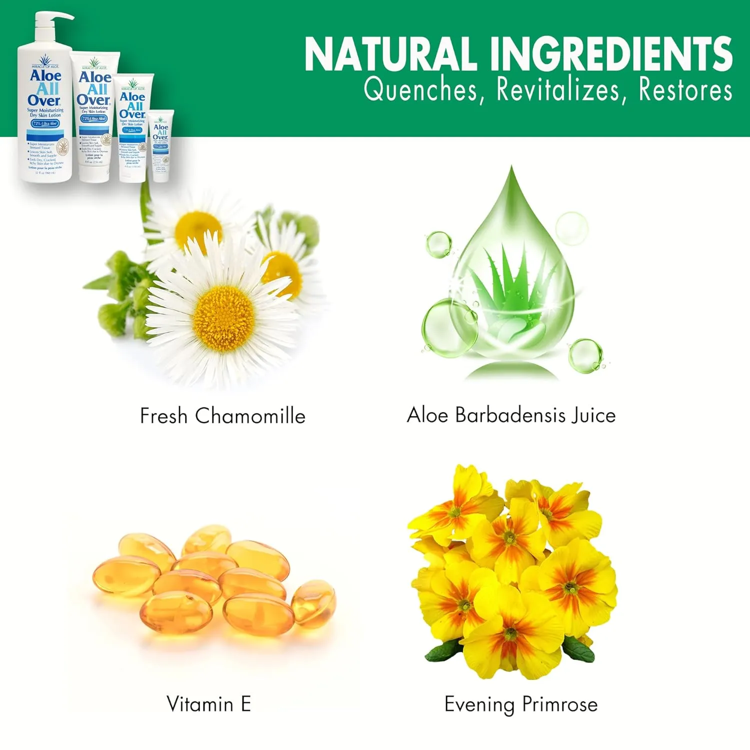 Miracle of Aloe Aloe All Over Super Moisturizing Dry Skin Lotion 8 oz - Made with 72% UltraAloe Aloe Vera Gel. Safe for Everyone: Men, Women, Children, Kids. Restores Dry Skin Fast
