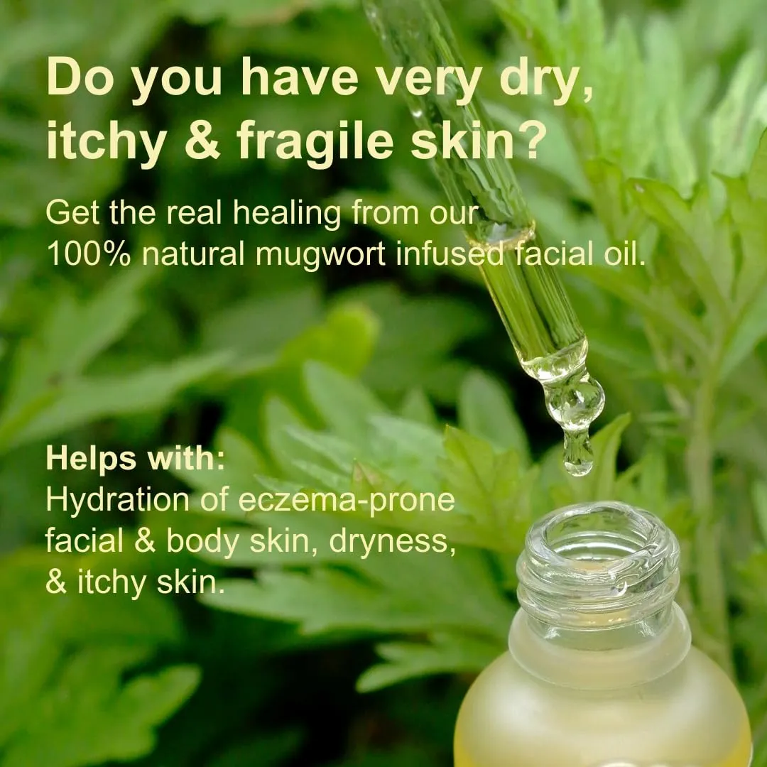 Mugwort Skin Oil - Infused Facial & Body Oil - Moisturizing Face Oil, or Dry Skin, Eczema, Psoriasis, Natural, Lightweight, Unisex - Unscented 100% Natural