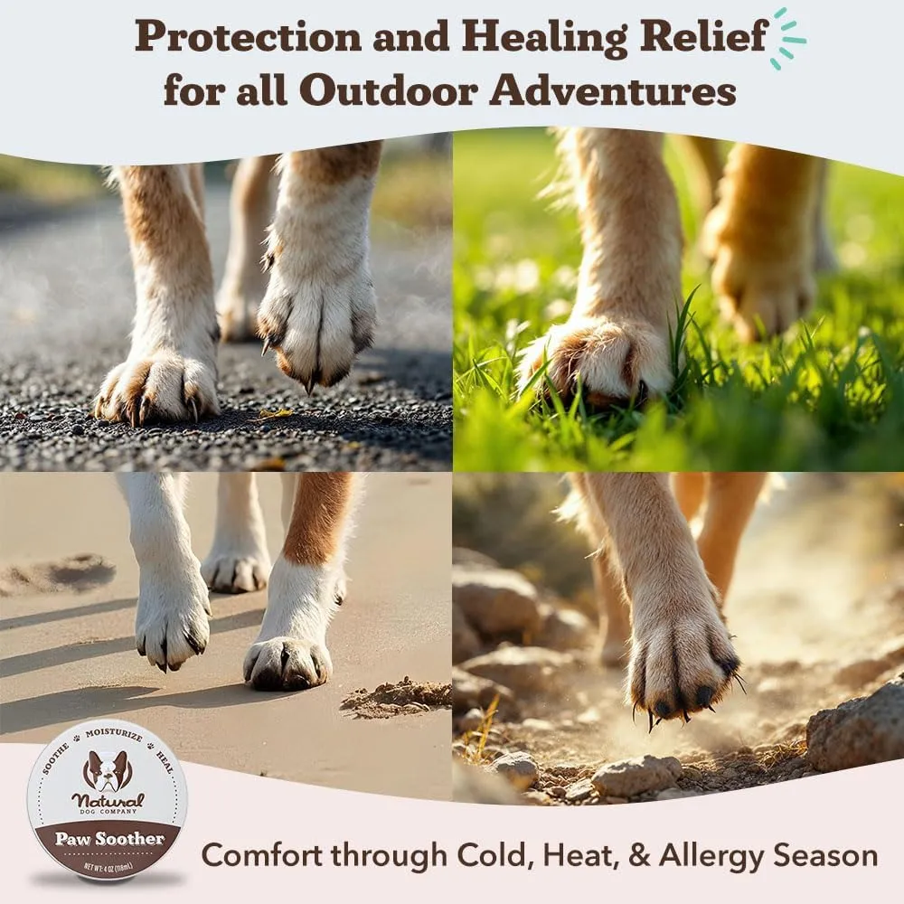 Natural Dog Company Paw Soother Balm & Wax for Dogs, Moisturizing Relief for Dry, Cracked Paws, Lick-Safe, Repairs & Heals, Protects Against Extreme Weather, Coconut Oil & Vitamin E, 2 oz Stick