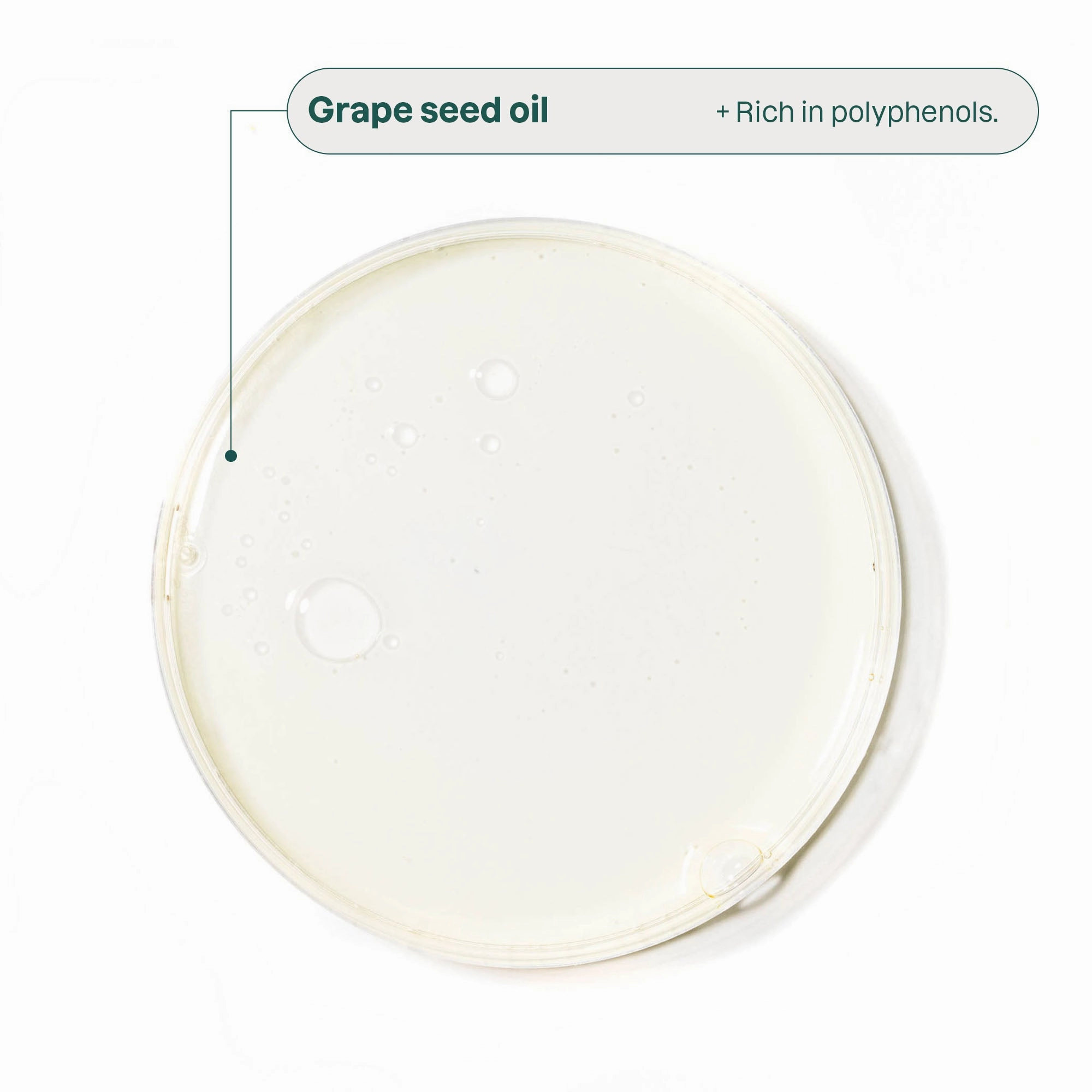 Newborn Moisturizing Kit : BABY LEAVES™