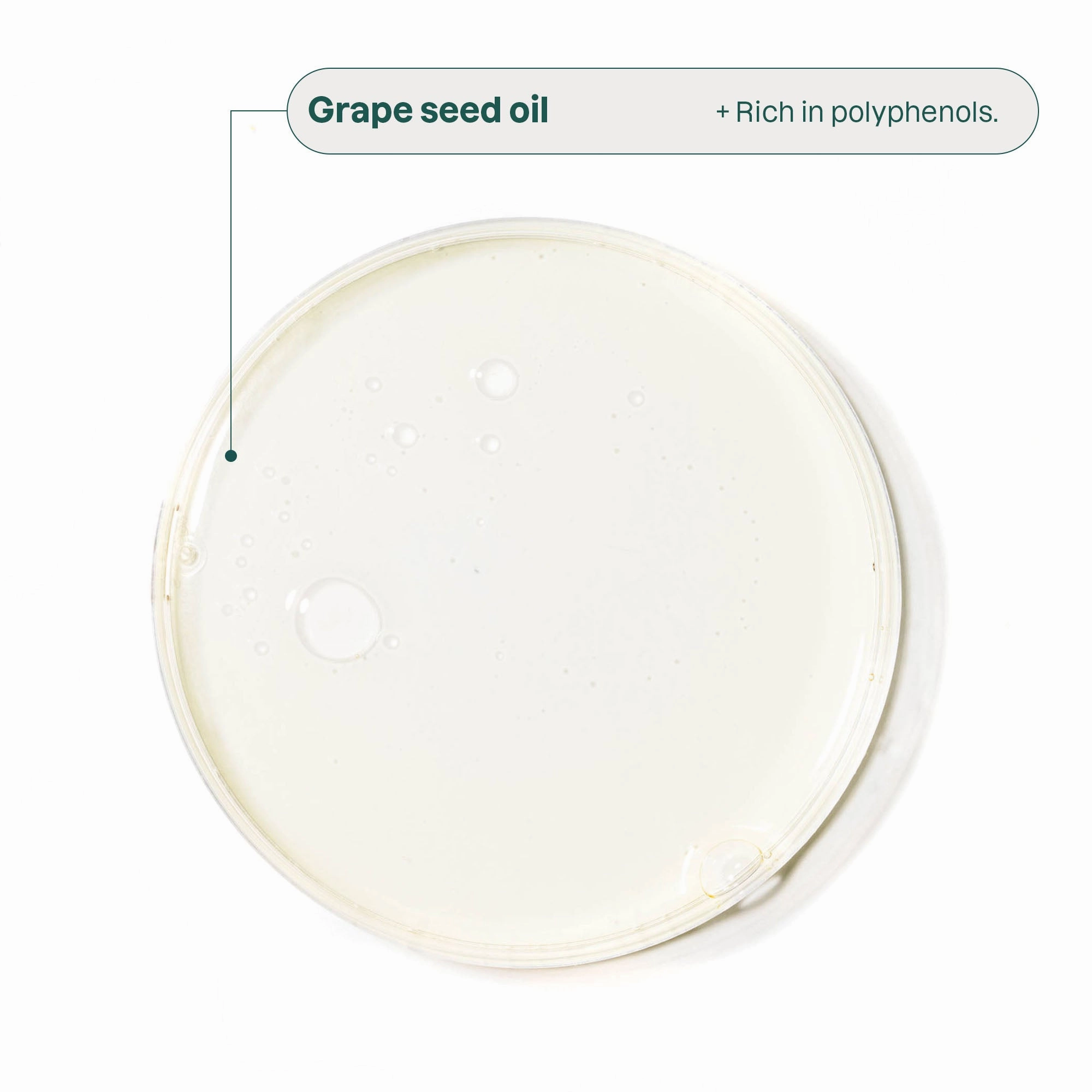 Newborn Moisturizing Kit : BABY LEAVES™