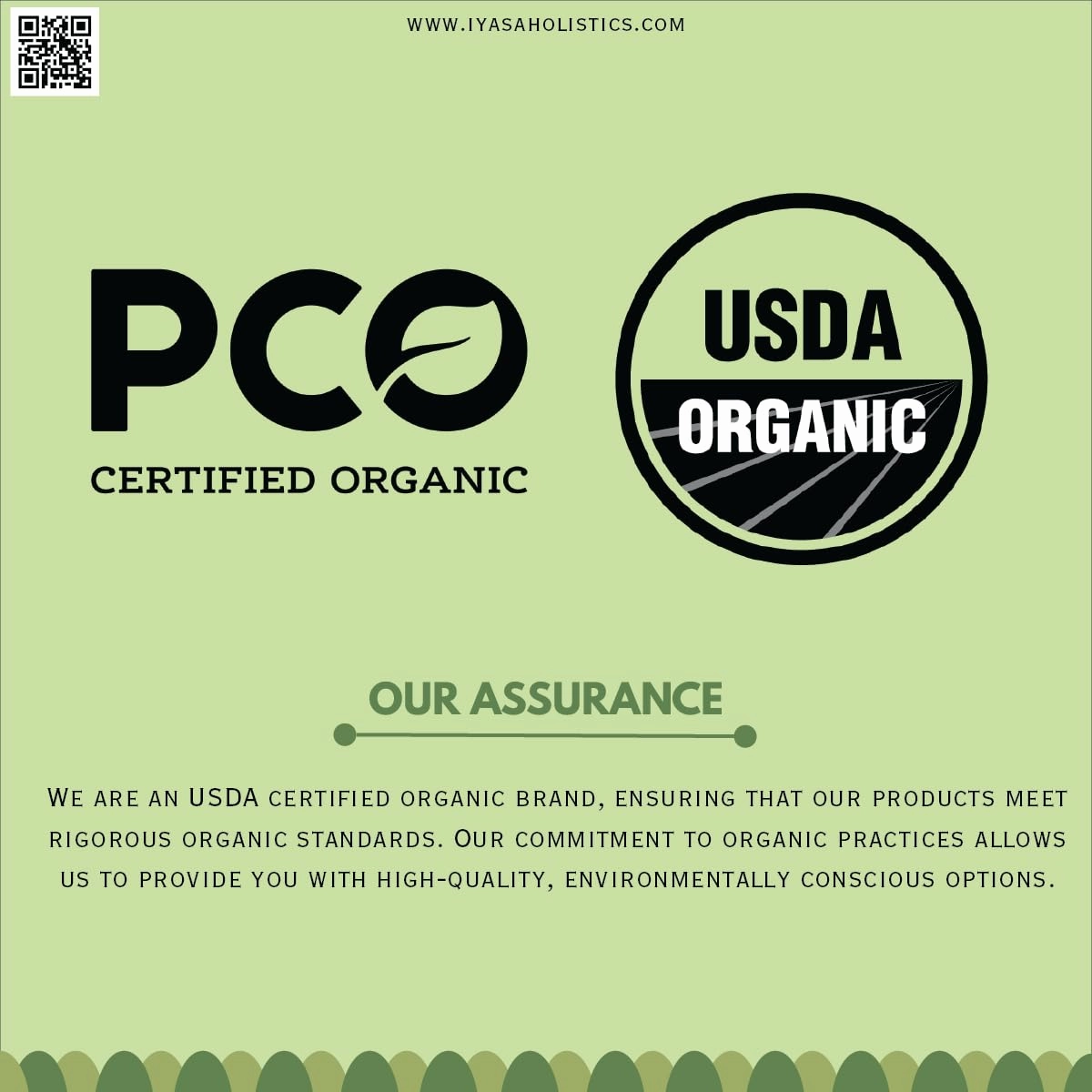 Organic Aloe Vera Leaf Powder, Bulk Pack of 16 oz/453 gram, Aloe Barbadensis, Herbal Cosmetics, Natural Hair & Skincare, Moisturizer, Superfood,Resealable Pouch