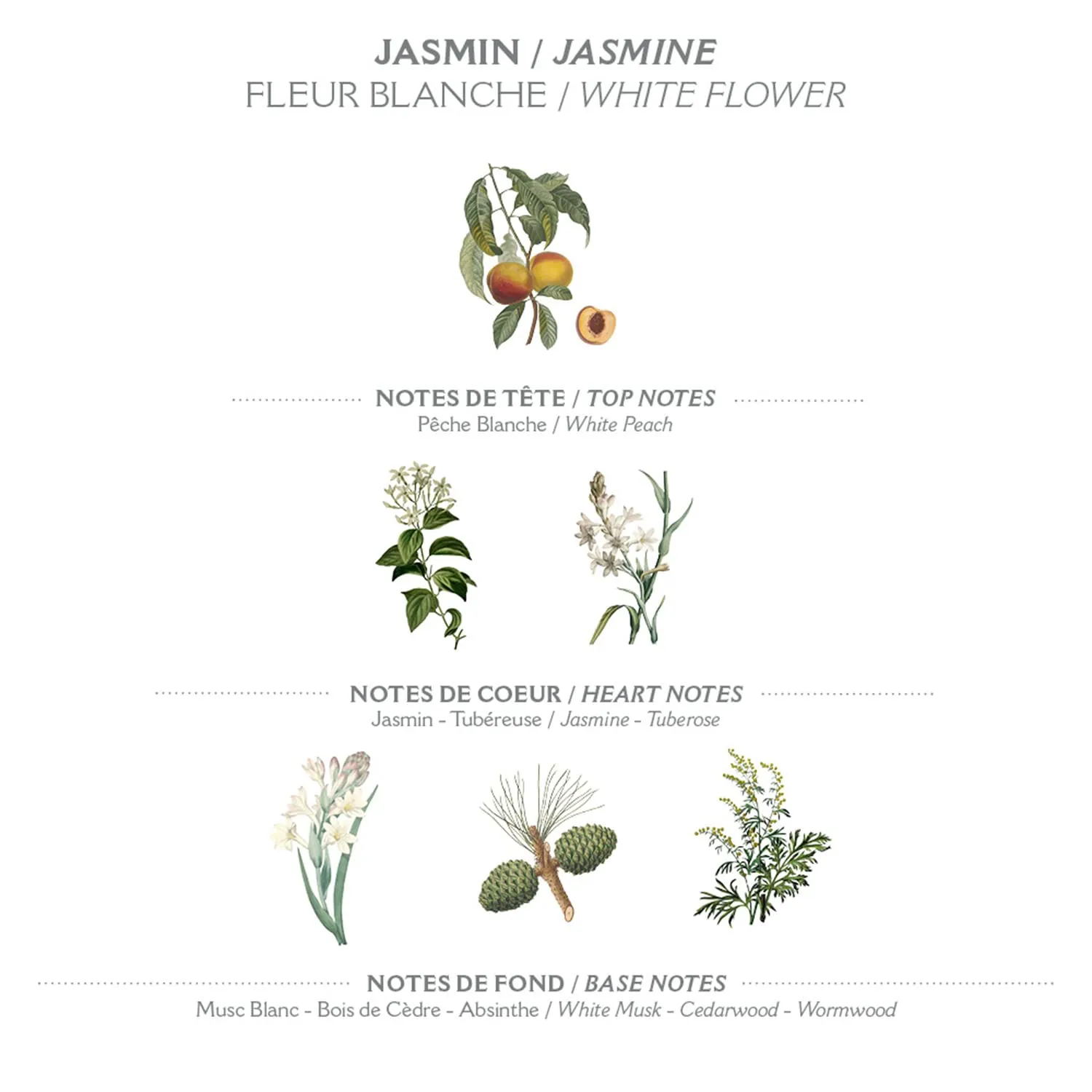 Panier des Sens –Jasmine Hand & Body Lotion for Dry Skin - Hydrating Body Cream for Women - Nourishing Fluid Body Moisturizer Shea Butter & Olive Oil - 97% Natural Ingredients Body Care - 8.45 Floz