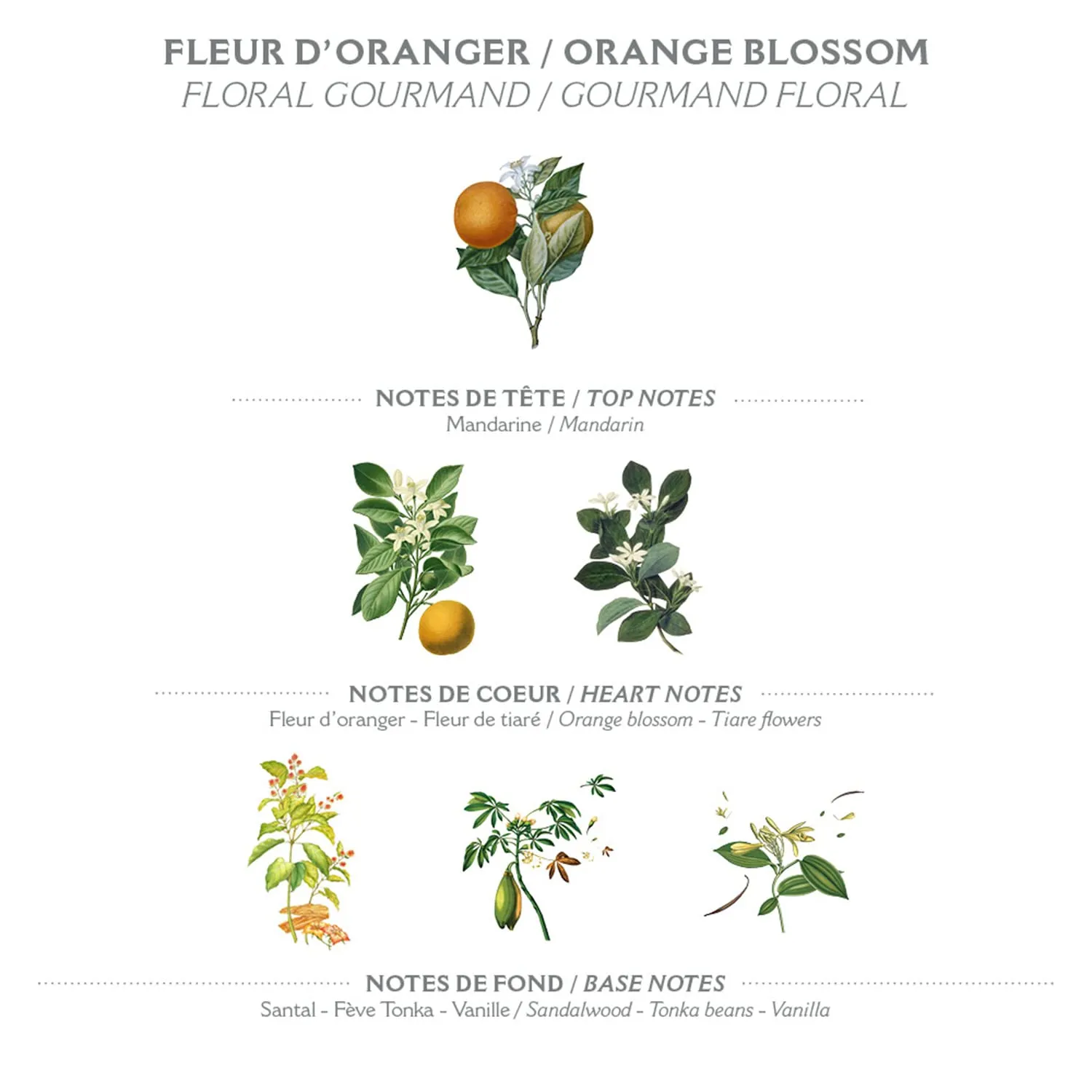 Panier des Sens - Shower Gel - Foaming Body Wash Women & Men - Moisturizing Body Soap with Glycerin, Olive Oil - 95% Natural Ingredients Body Care - Vegan Liquid Body Wash - 8,45 floz (Orange Blossom)