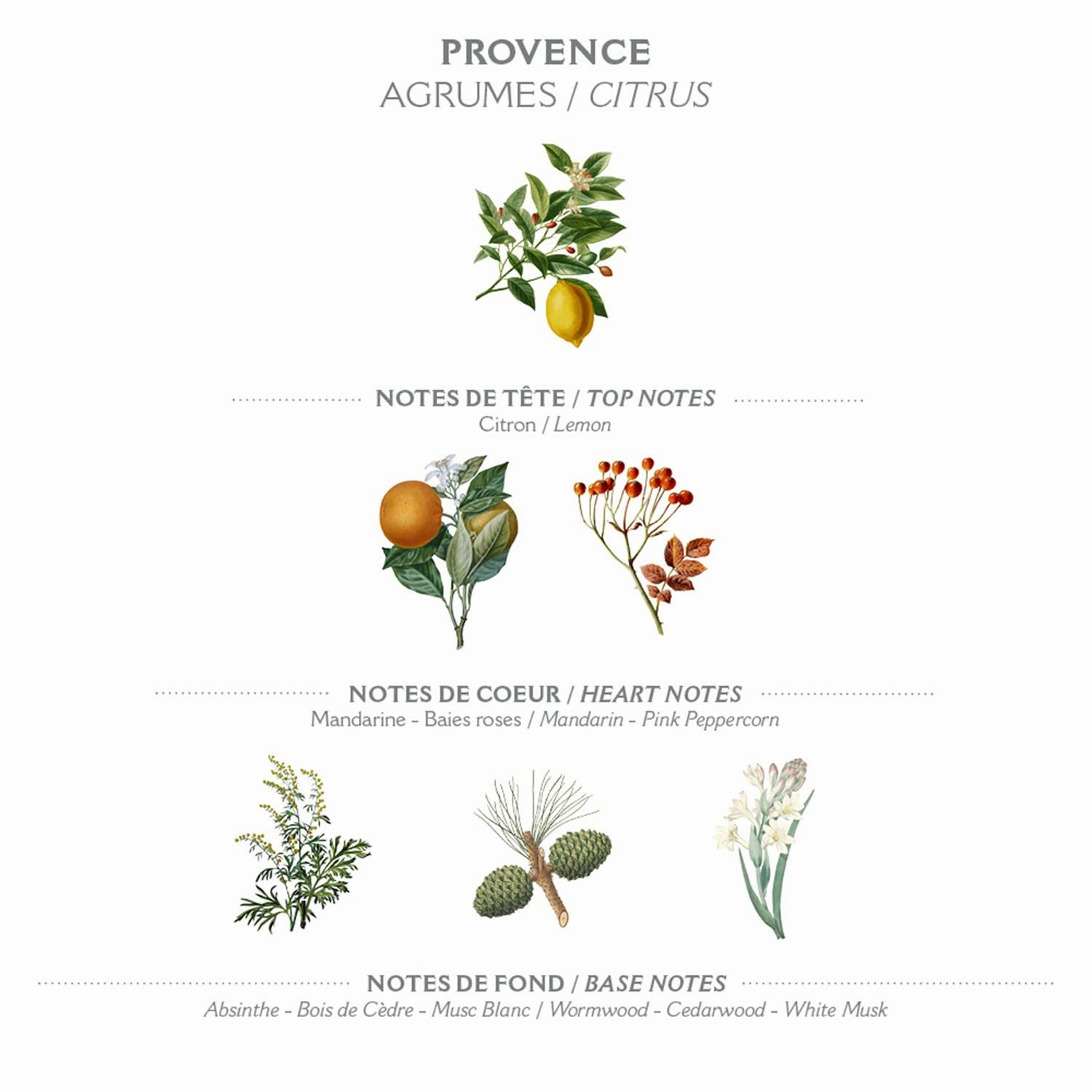 Panier des Sens – Provence Shower Gel – Foaming Citrus Body Wash Women & Men - Moisturizing Body Soap with Shea Oil - 96% Natural Ingredients Body Care - Vegan Liquid Body Wash - 8,45 floz