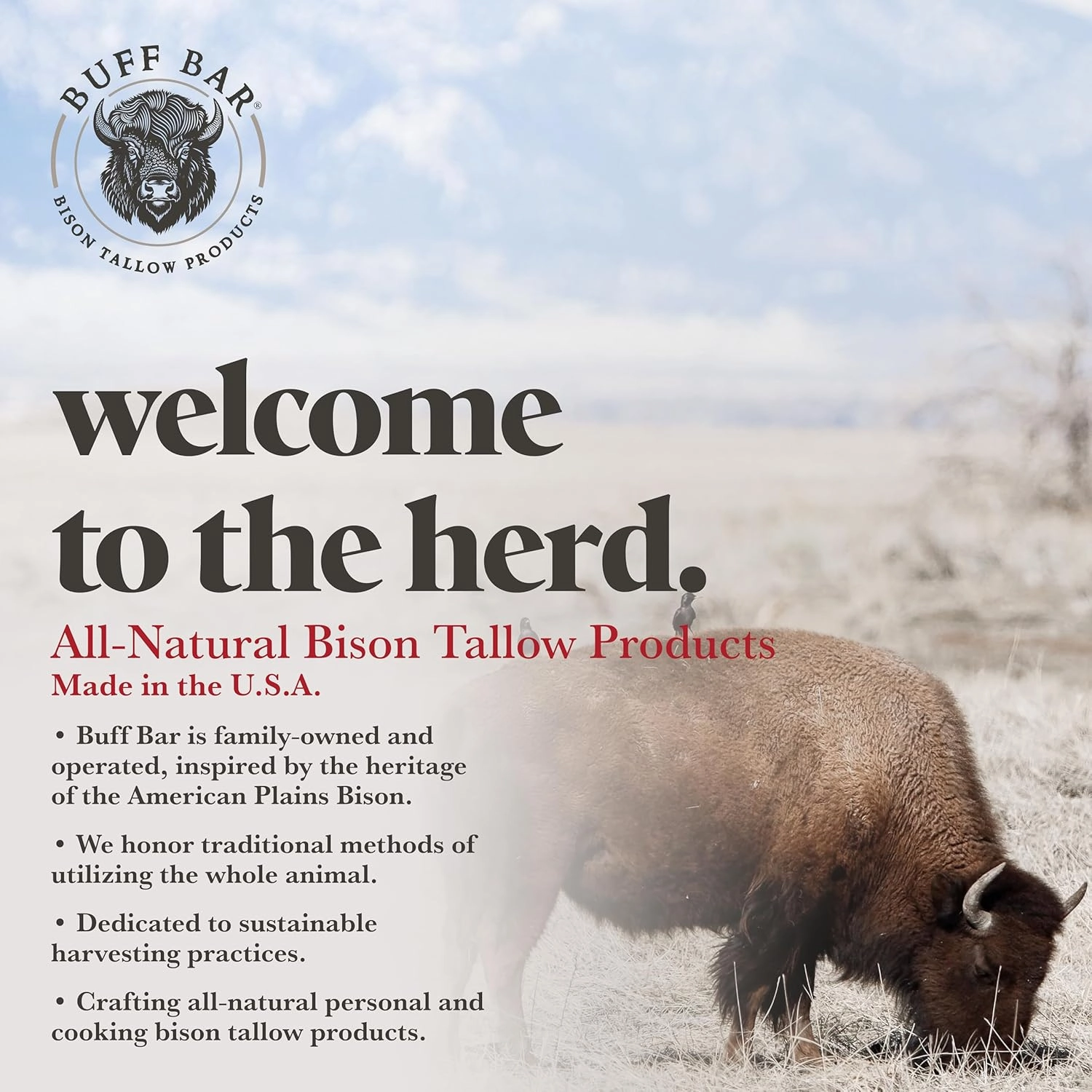 Pure Bison Tallow Balm, Mineral Pool - Scents of Himalayan Sea Salt, Moss, & Freesia - Body Butter, Hydrating, Naturally Derived, Replaces Lotion - Dry, Itchy Skin
