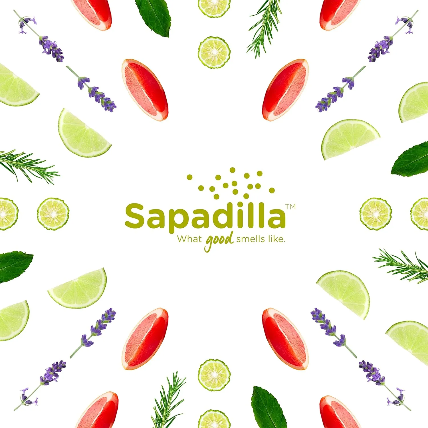 Sapadilla Liquid Hand Soap - Rosemary   Peppermint - Made with 100% Pure Essential Oil Blends, Cleansing & Moisturizing, Aromatic & Fragrant Hand Soap, Plant Based, Biodegradable, 12 Ounce (Pack of 3)