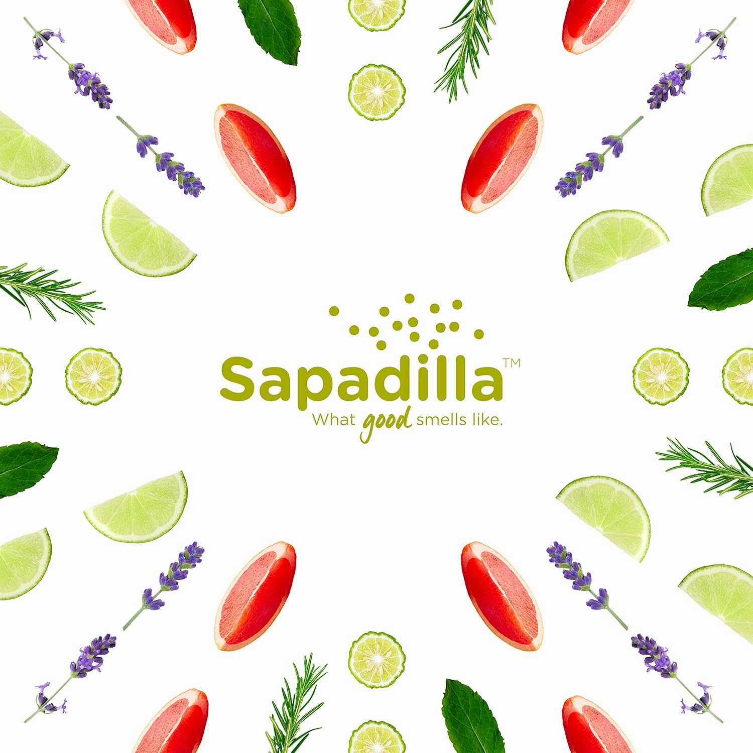 Sapadilla Liquid Hand Soap - Three Scent Variety - Made with 100% Pure Essential Oil Blends, Cleansing & Moisturizing, Aromatic & Fragrant Hand Soap, Plant Based, Biodegradable, 12 Ounce, (Pack of 3)