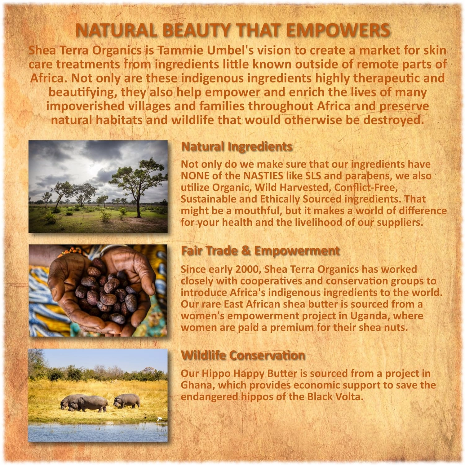 Shea Terra Organics Nilotik’ Shea Butter Ultra-Rich Lotion – Fragrance-Free | Natural Anti-Aging Daily Skin, Nails & Hair Cream to Soften Dry Skin, Reduce Wrinkles & Stretch Marks – 16 oz