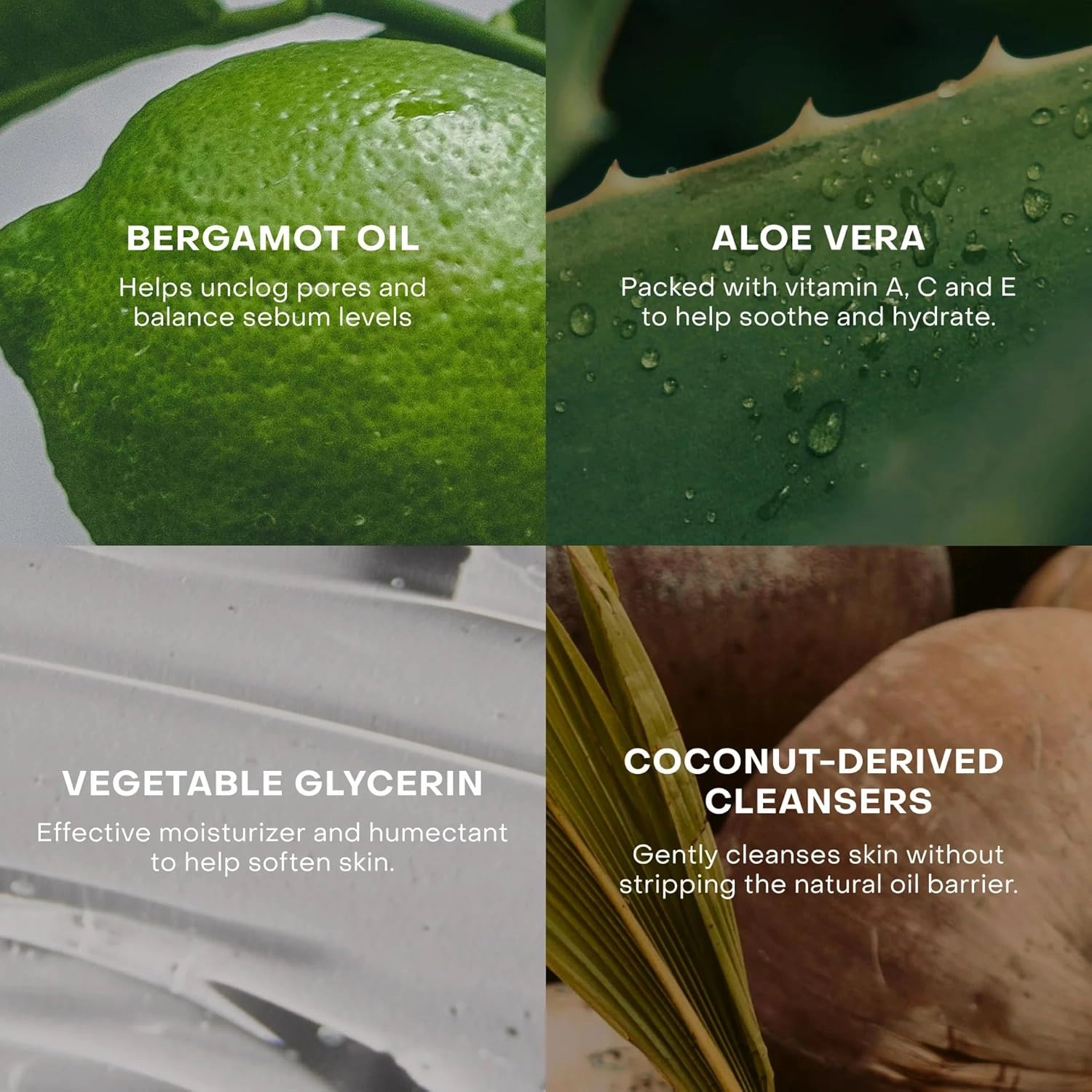 The Body Wash Concentrate, Hydrating and Skin Soothing, Plant-Based, Vegan, Aloe Vera, Skincare Ingredients, 3.4 fl oz, TIN